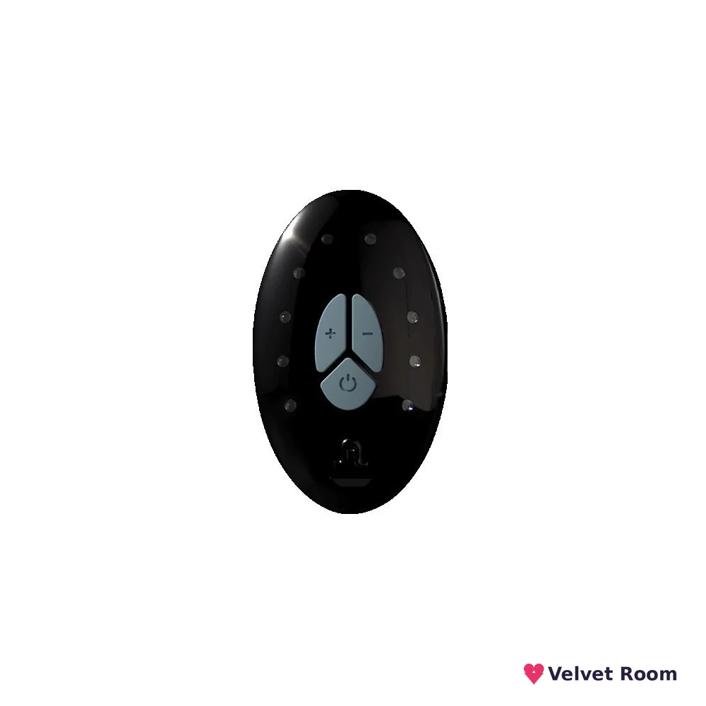 Запасний пульт ДК Adrien Lastic LRS (Lastic remote system) + cable (упаковка пакет)